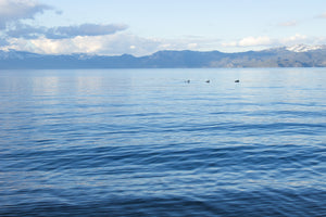Lake Tahoe Framed Photograph
